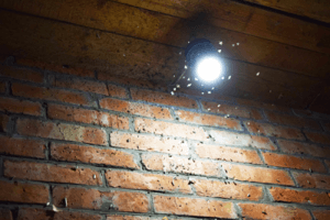 new-study-shows-led-lights-attract-fewer-insects-than-other-lights