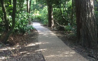 Resin Bound paving solution for The Wonder Walk at Signature Homes Care Home, Surrey