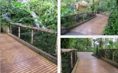 Gripsure and MEDITE TRICOYA EXTREME provide new solution to increase safety at The Eden Project
