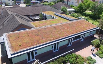 Green roofs – selecting the right product first time