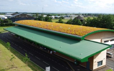 Optigreen green roof systems are now available for design through BIMobject